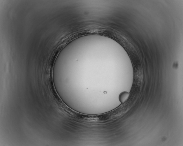 X0000100870554200806200905