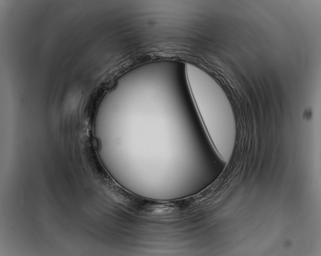 X0000100870555200806200905