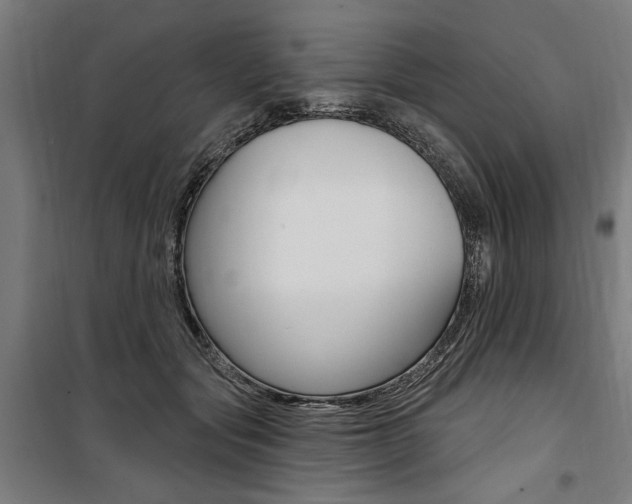 X0000100870557200806200905