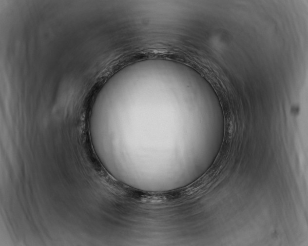 X0000100870559200806200905