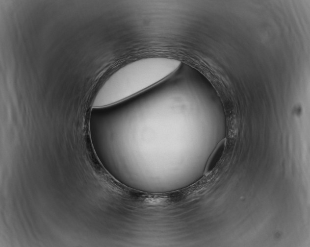 X0000100870560200806200905