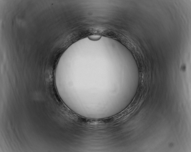 X0000100870561200806200905