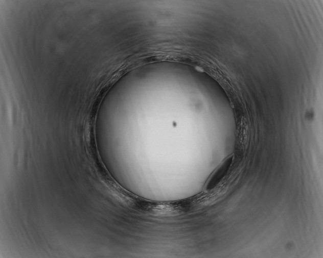 X0000100870562200806200905