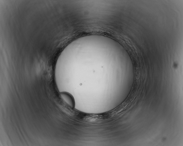 X0000100870563200806200905