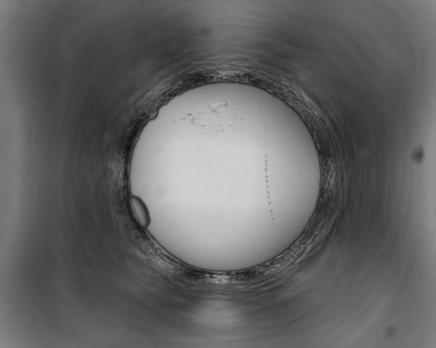 X0000100870565200806200905