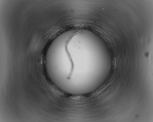 X0000100870567200806200905