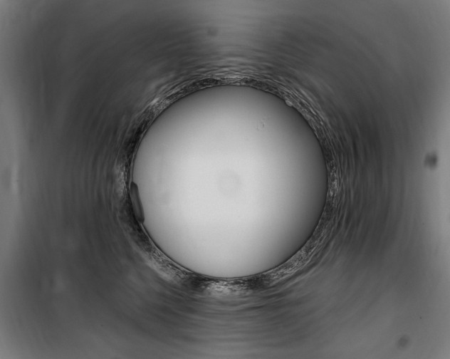 X0000100870568200806200905