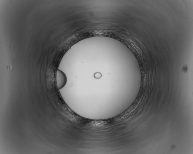 X0000100870569200806200905