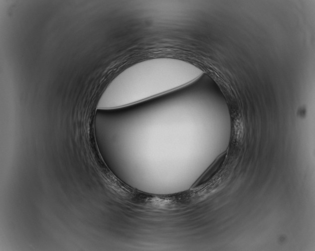 X0000100870570200806200905