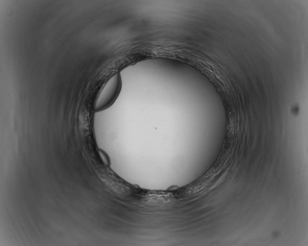X0000100870571200806200905