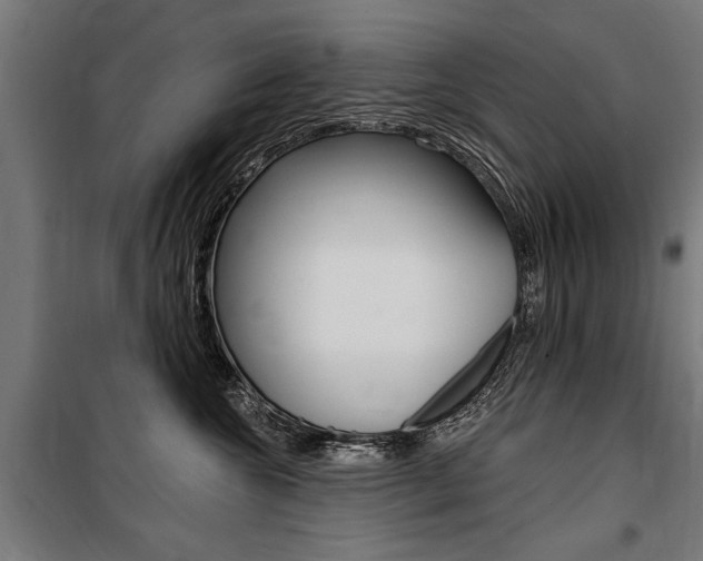 X0000100870572200806200905