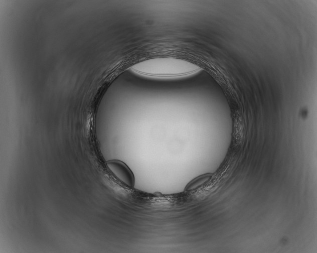 X0000100870574200806200905