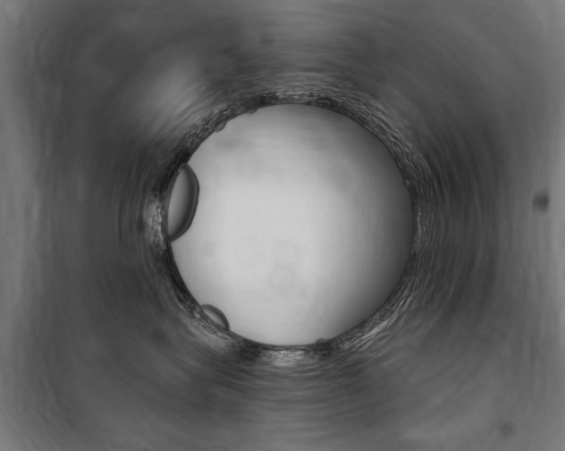 X0000100870575200806200905