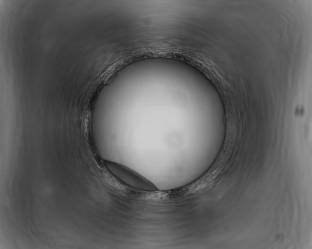 X0000100870576200806200906