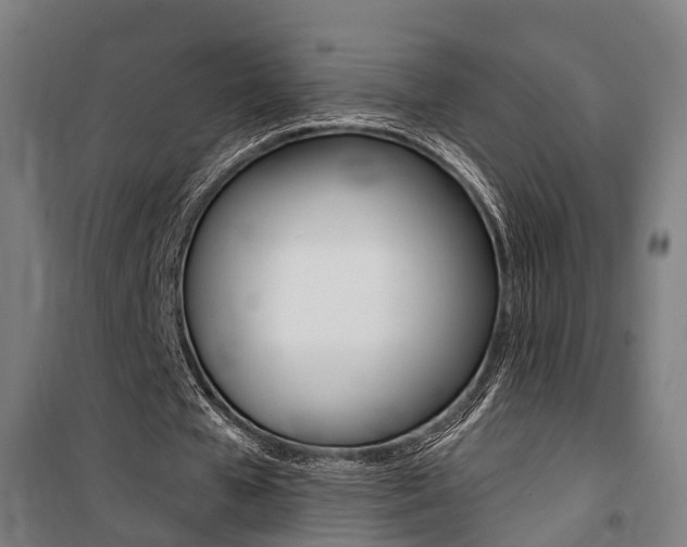 X0000100870577200806200905