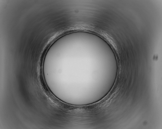 X0000100870578200806200905