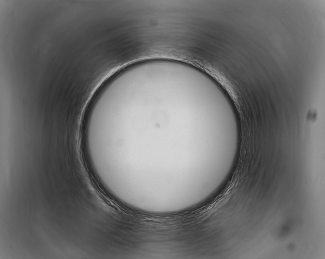X0000100870580200806200905