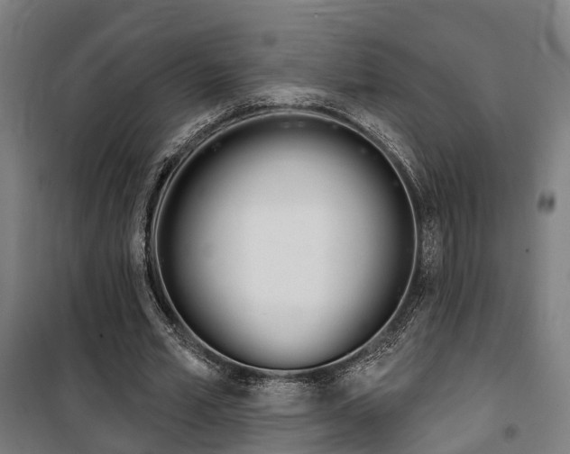 X0000100870581200806200905