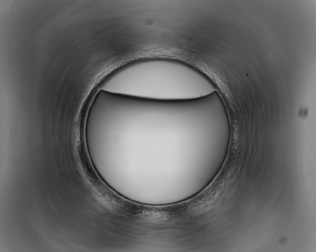 X0000100870582200806200905