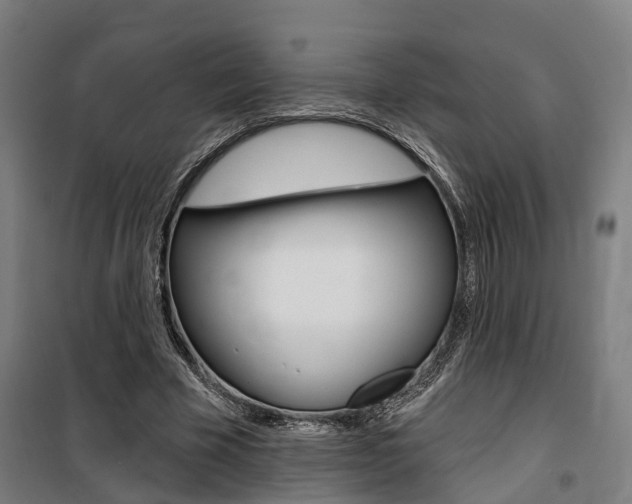 X0000100870585200806200905