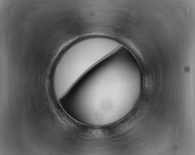 X0000100870588200806200904