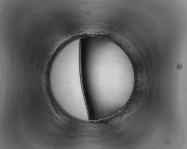 X0000100870592200806200904