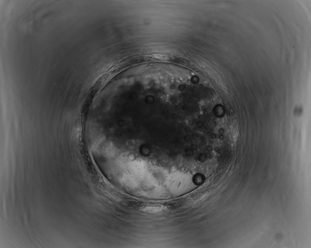X0000100870595200806200904