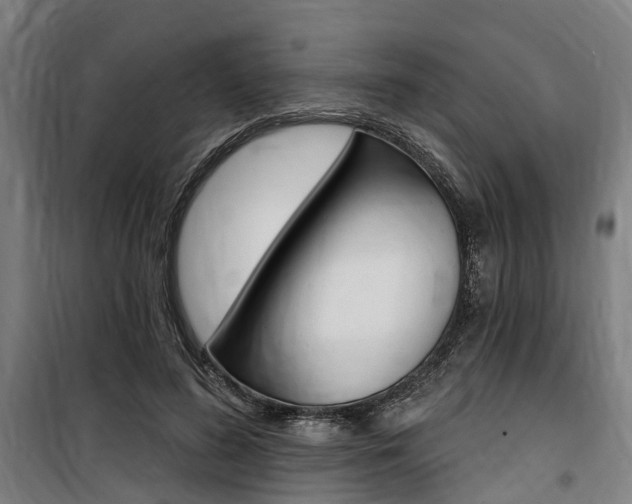 X0000100870596200806200904