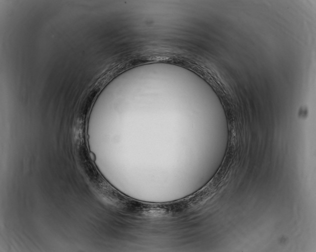 X0000100870598200806200904