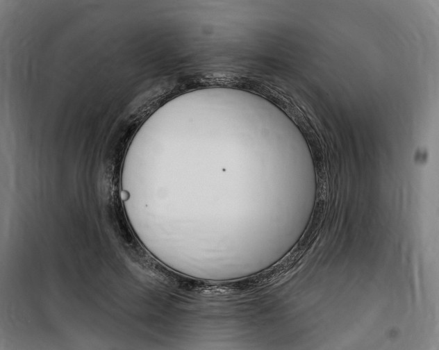 X0000100870599200806200904
