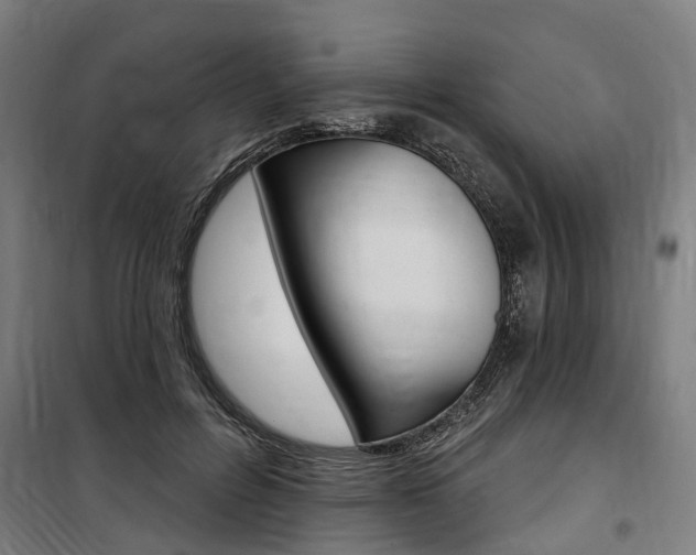 X0000100870600200806200904