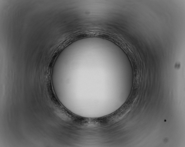 X0000100870601200806200904