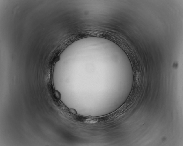 X0000100870602200806200904
