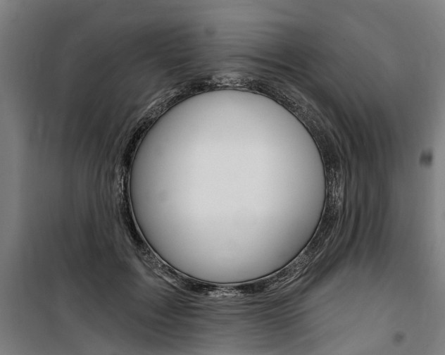 X0000100870603200806200904