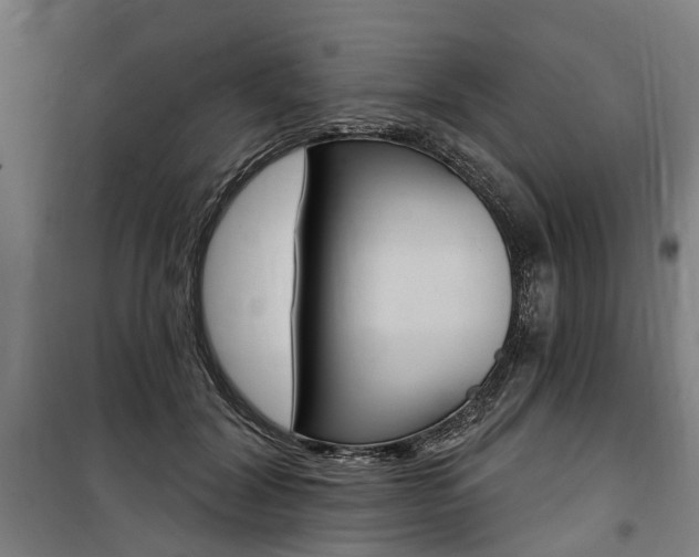 X0000100870604200806200904