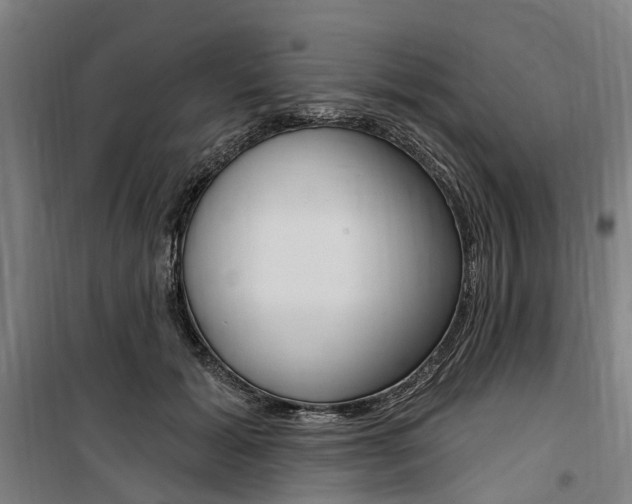 X0000100870605200806200904