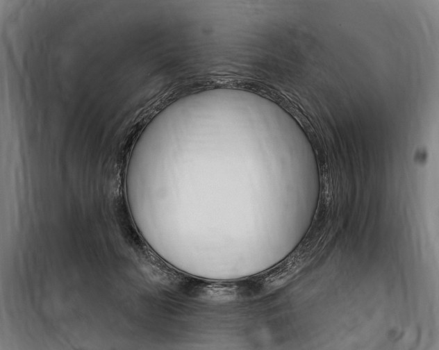 X0000100870606200806200904