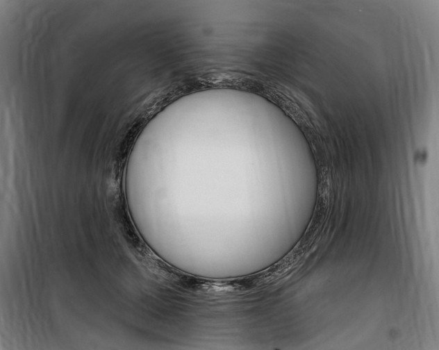 X0000100870607200806200904