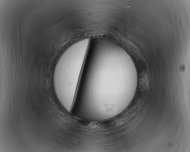 X0000100870608200806200904
