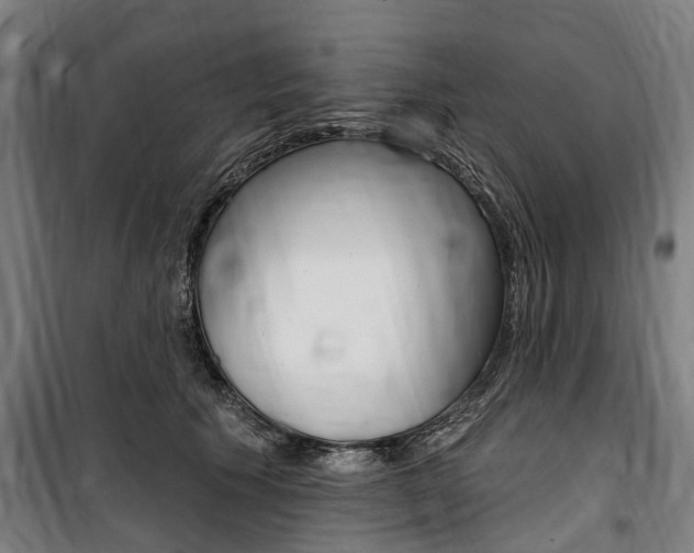 X0000100870609200806200904