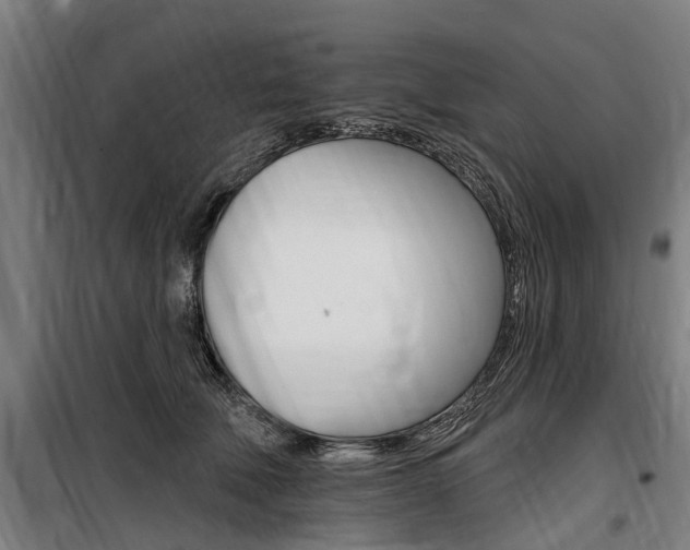 X0000100870610200806200904