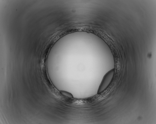 X0000100870611200806200904