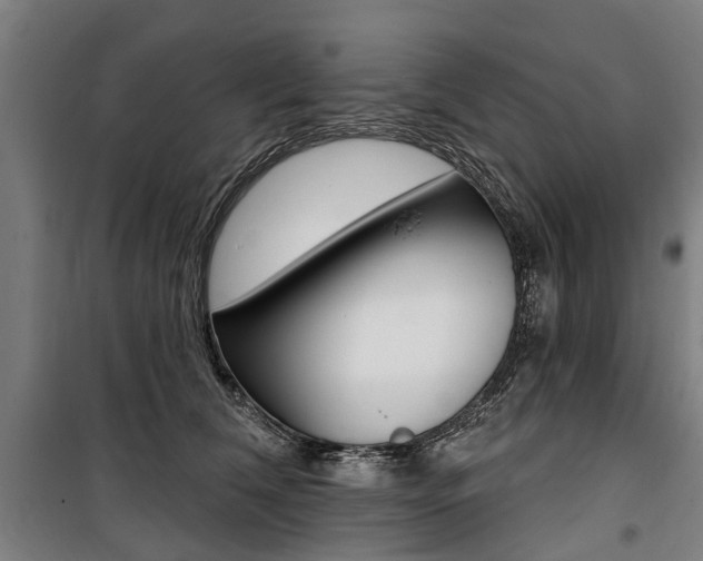 X0000100870612200806200904