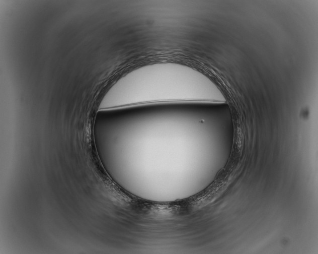 X0000100870613200806200904