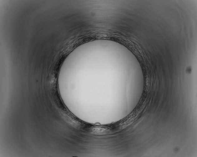 X0000100870614200806200904