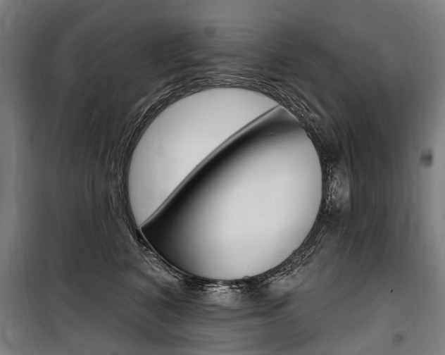 X0000100870616200806200904
