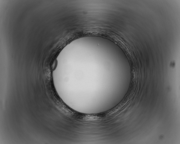 X0000100870617200806200904