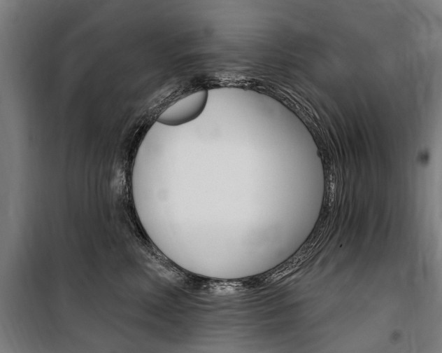 X0000100870618200806200904