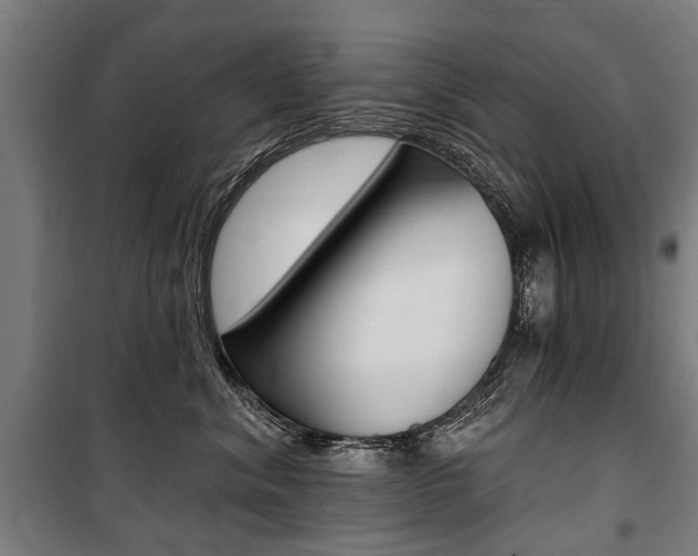 X0000100870620200806200904