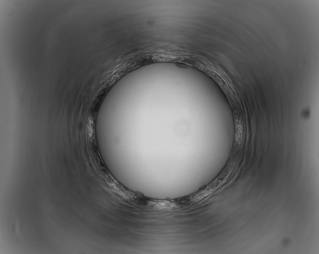 X0000100870621200806200904